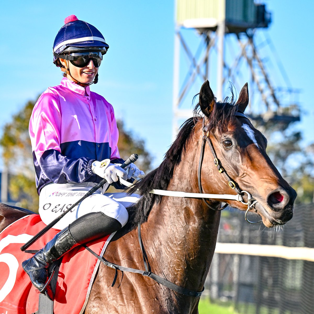 Racing Victoria tweet media
