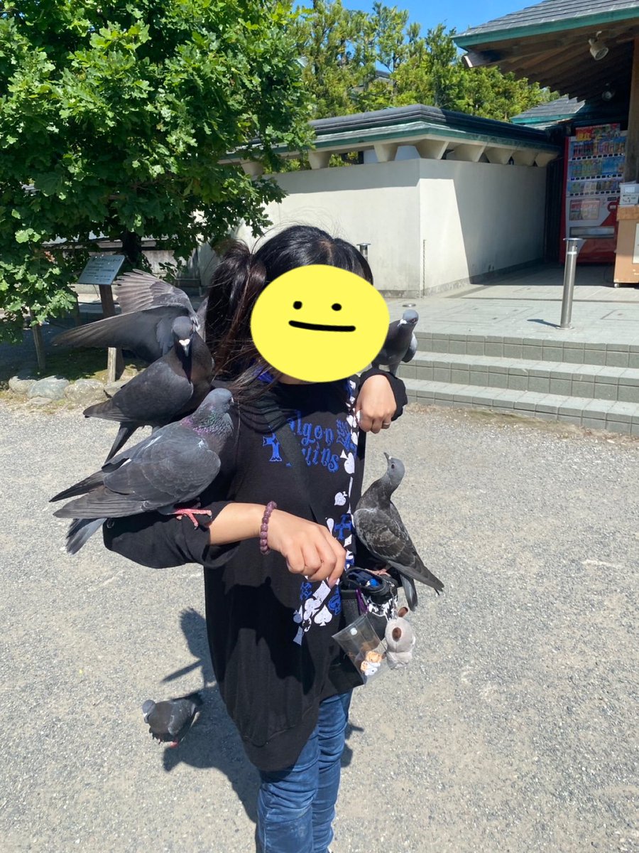 縛猫-しばねこ-ハンドメイド垢 tweet media