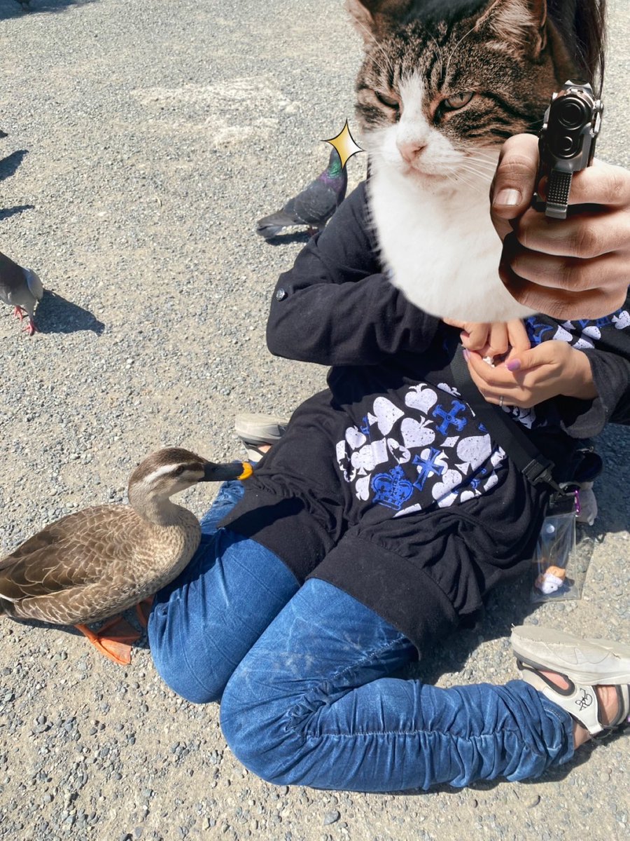 縛猫-しばねこ-ハンドメイド垢 tweet media