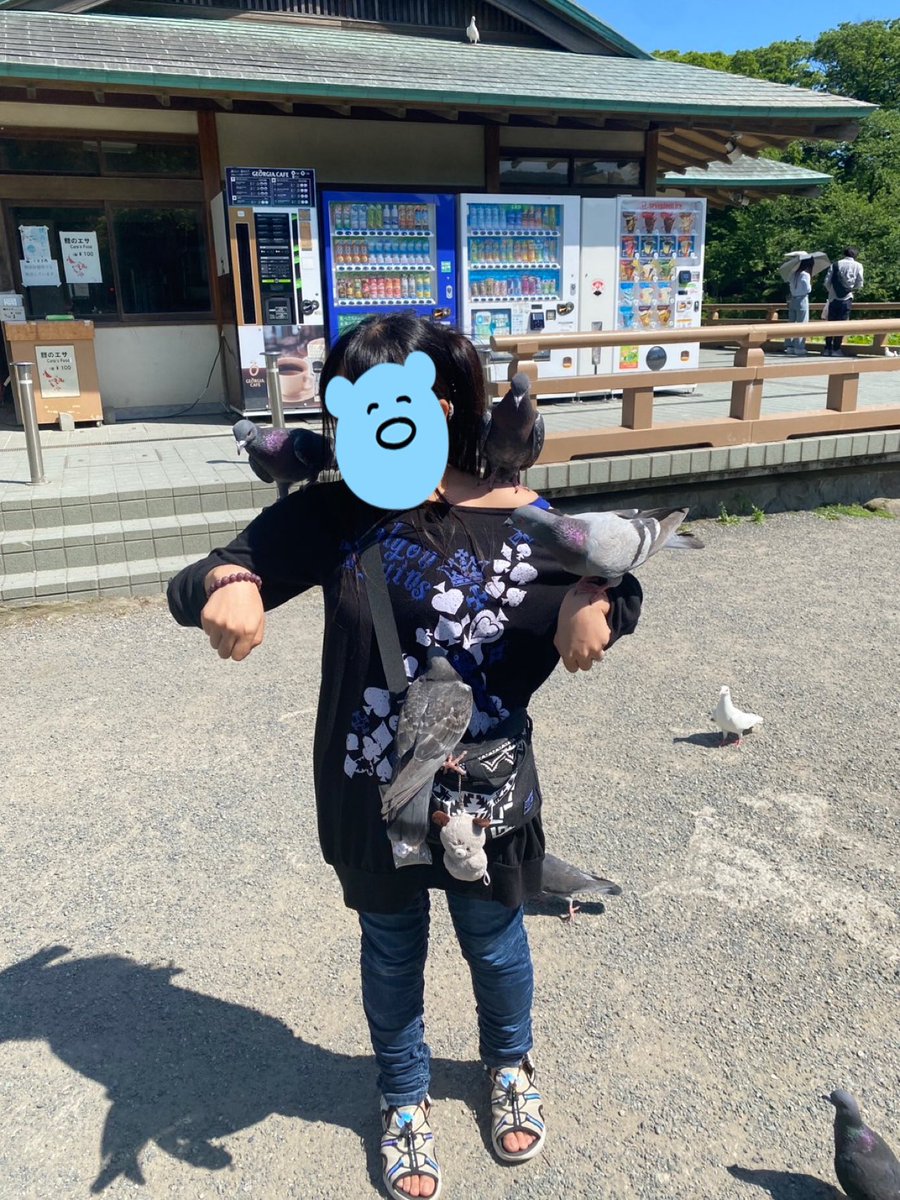 縛猫-しばねこ-ハンドメイド垢 tweet media