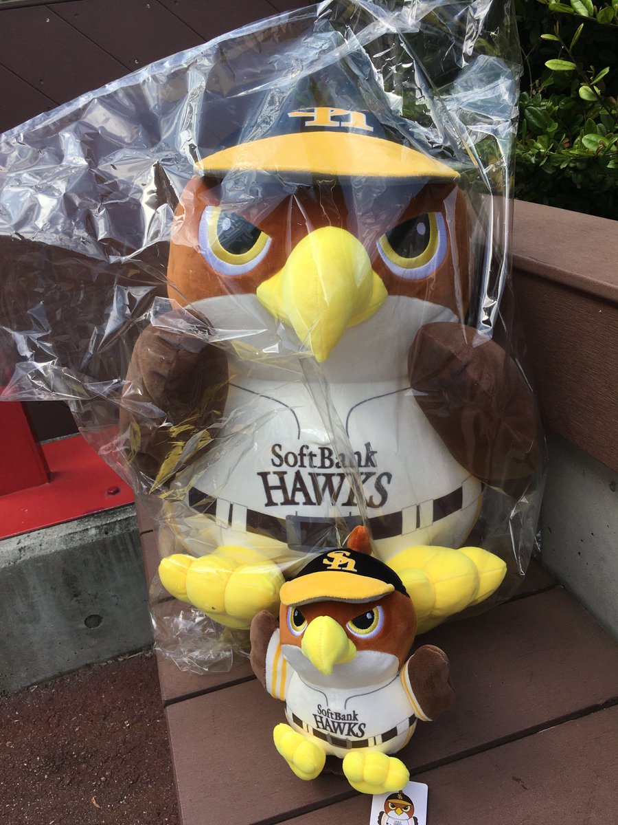 oniatsu51's tweet photo. @sbhawks_goods まだ晴れてるのに雨予報でルーフオープンはないって残念。余り並んでなかったからタカくじ引いたら出ました！😊
#タカぬい   #sbhawks  #全新 https://t.co/4zjIEIGCEY