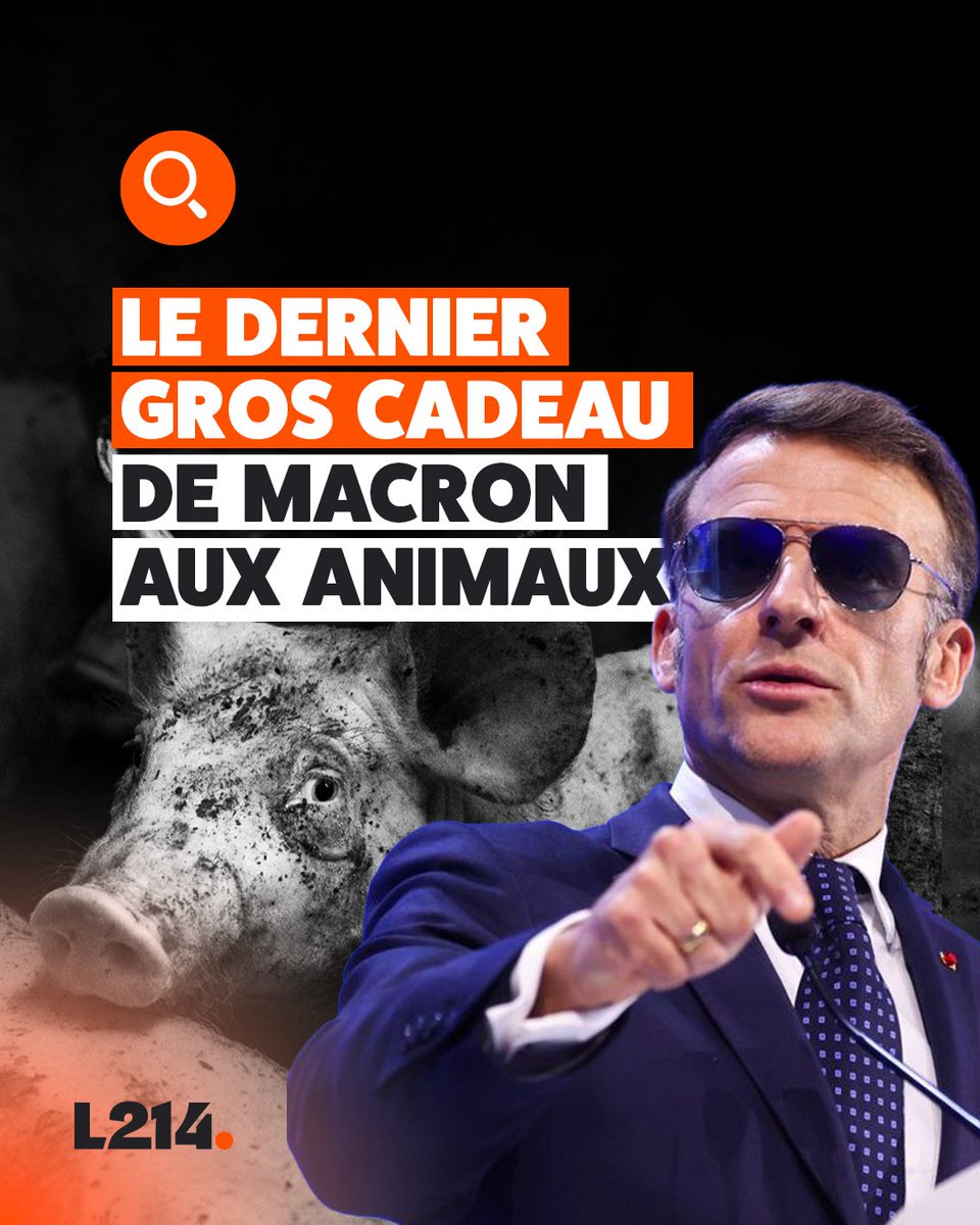 L214 éthique & animaux tweet media