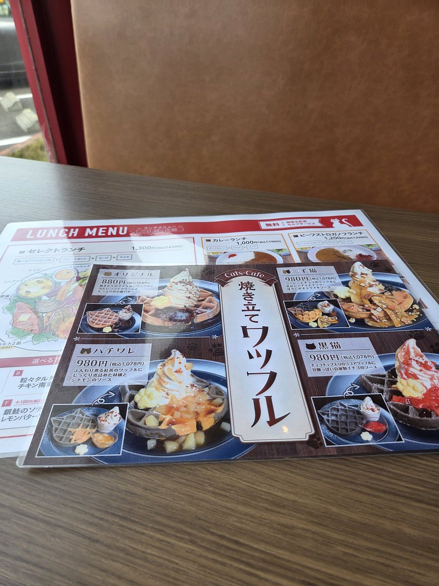 sasara123's tweet photo. 健康診断終わって　ごほうびに　優雅な昼下がり https://t.co/2QLOoX9vsI