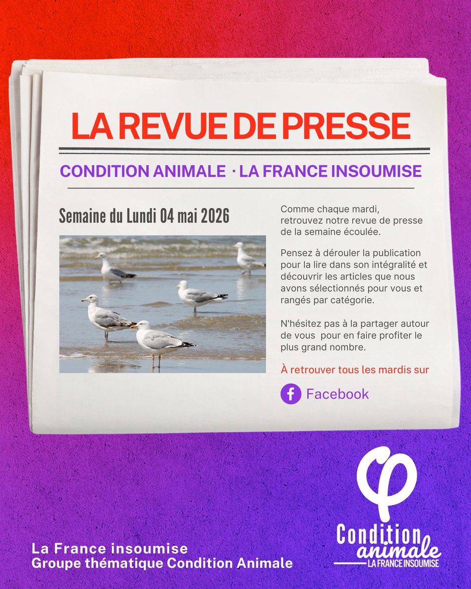 Condition animale - La France insoumise 🐢 tweet media
