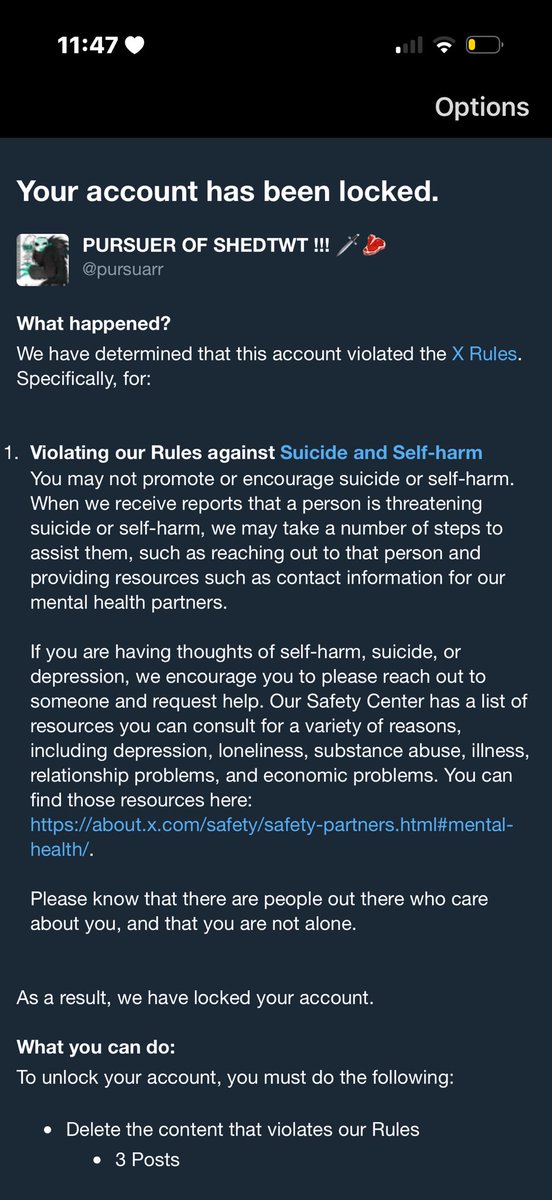 PURSUER OF SHEDTWT !!! 🗡️🥩 tweet media