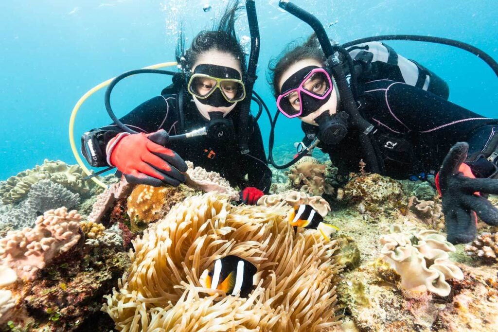 WorldDivingNet's tweet photo. ダイビングマスクで現地ガイドが絶対におすすめの厳選5選
🔥🔥 https://t.co/cMNFm46sKD 🔥🔥

今回はダイビングマスクで現地ガイドが絶対におすすめの厳選5選を紹介します。ダイビングマスクは必須のダイビング器材です。

自分に合っていないダイビングマスクを選んでしまうとダイビング中にとてもストレスになってしまいます。レンタル器材のダイビングマスクでは毎回使用するマスクが異なるため、慣れなかったり、違和感を感じたりする場合もあります。

ダイビングマスクの値段相場は1万円~2万円ぐらいです。他の器材と比べても買いやすい値段です。ダイビングをするのであれば、ダイビングマスクは早めに購入するようにしましょう。

今回はダイビングマスクの各部の名称、ダイビングマスクの種類、ダイビングマスクの正しい選び方、選んではいけないダイビングマスク、おすすめのダイビングマスクの厳選5選、セットでおすすめのシュノーケルに分けて紹介します。

おすすめのダイビングマスクは弊社の公式オンラインショップで割引価格で購入が可能です。

これからダイビングマスクの購入を考えている方には必見の内容です。ぜひお役立てください。

#ダイビングマスク #ダイビングマスクおすすめ