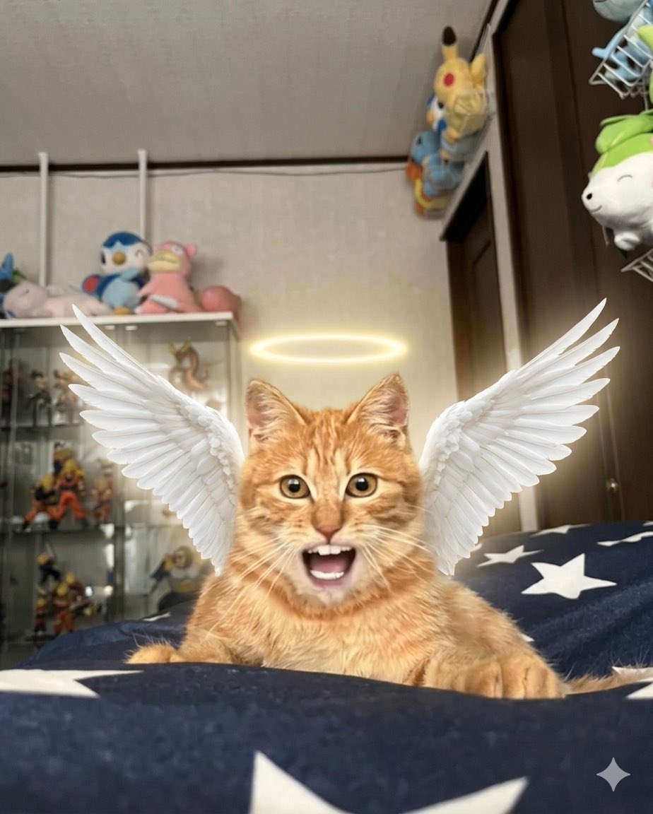 杏葉ライカー⚡️🤪🎮電流系Vtuber tweet media