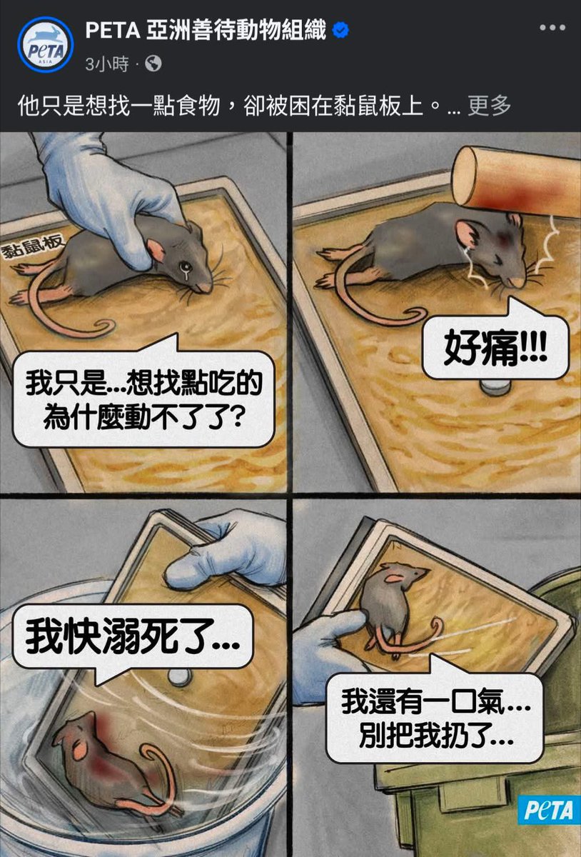 陳少4.0 tweet media