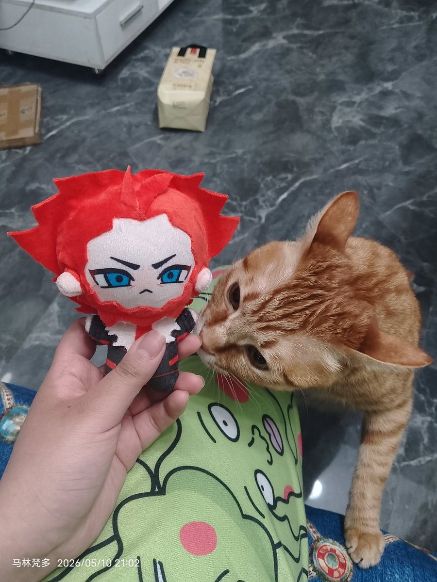 下地狱抢狗饭 tweet media