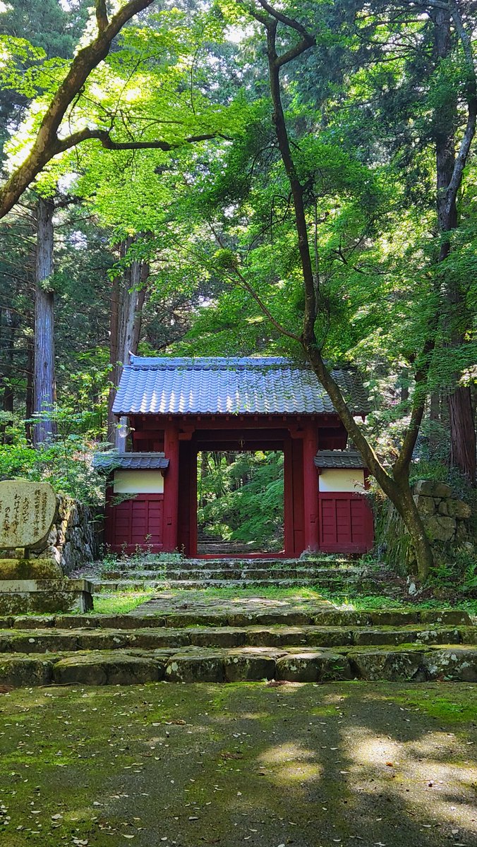 StudioNavi's tweet photo. 滋賀県の湖東三山、百済寺！
西暦606年（推古14年）、聖徳太子が建立した百済寺。 自然の中にたたずみ四季折々の表情を楽しむことができます。特に紅葉が美しく多くの観光客が訪れています。

#百済寺 #湖東三山 #新緑 #滋賀県 https://t.co/d7B0t2XRRI