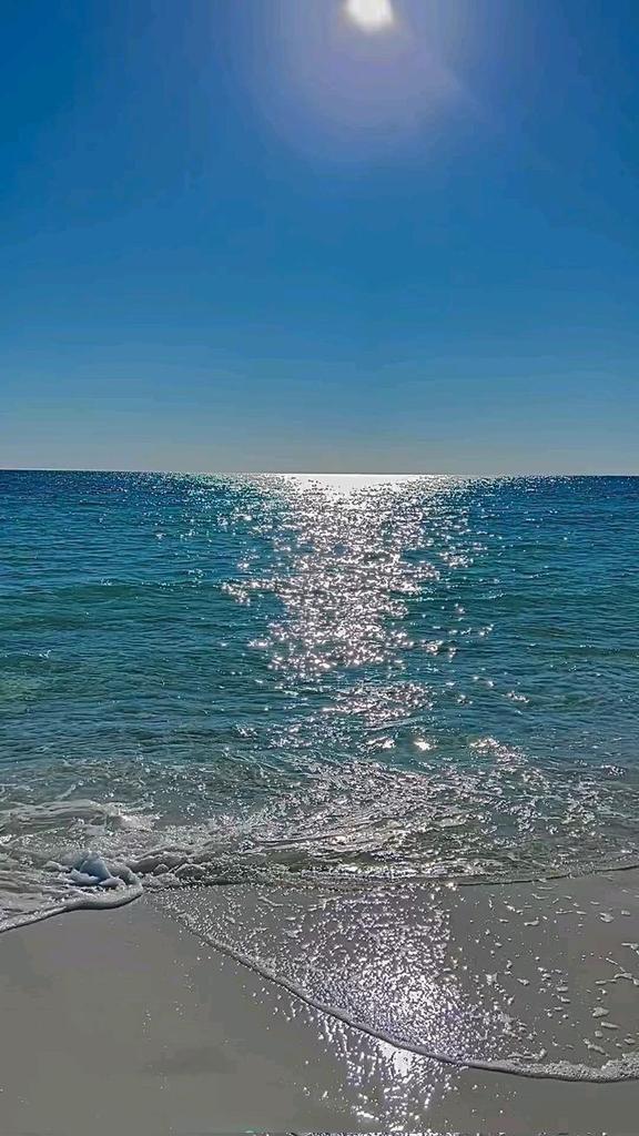 ocean tweet media