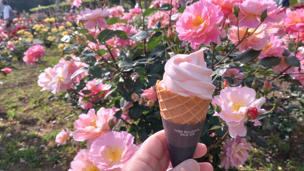 petitepao's tweet photo. 神代植物公園
バラフェスタ https://t.co/s0oRfxNWbB
