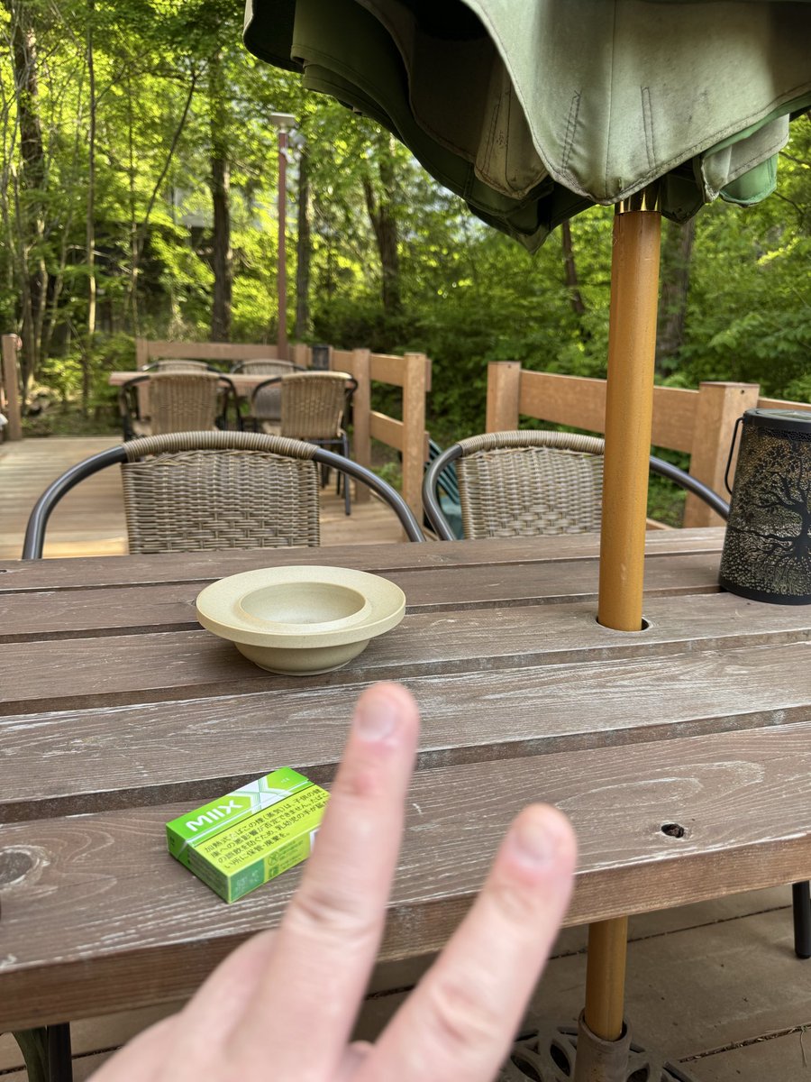 basstomenrui's tweet photo. 森の中だぁ...超マイナスイオン出てる気がするぜぇおい...𓂃🌿𓈒◌ https://t.co/NUYPUCJUfk
