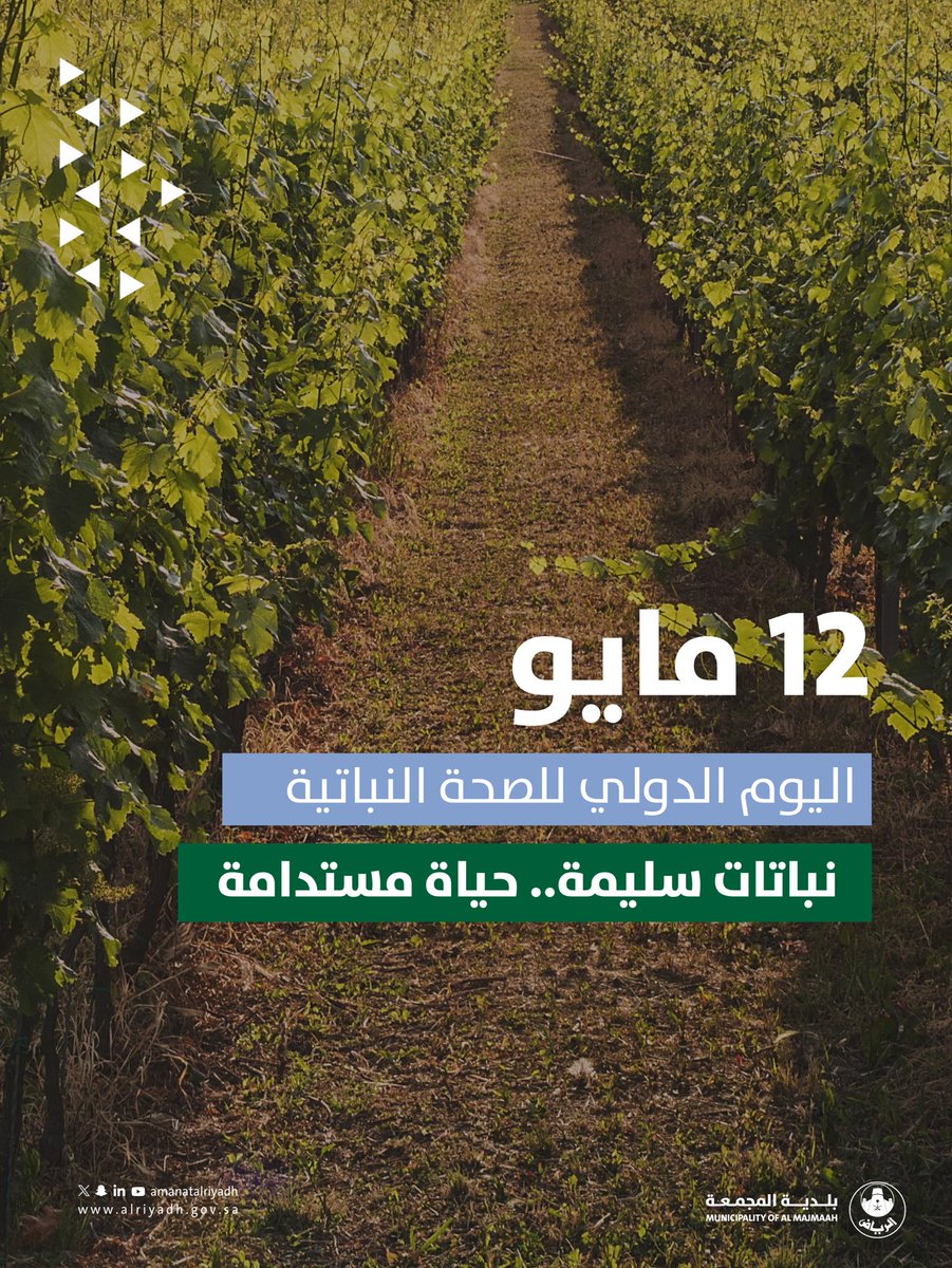بلدية المجمعة tweet media