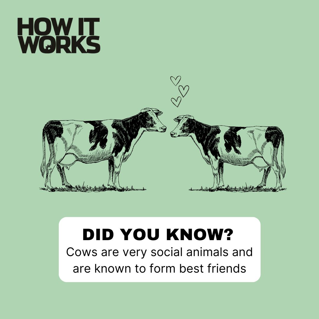 How It Works tweet media