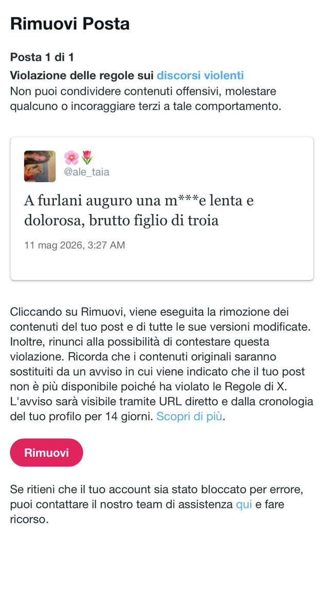 🌸🌷 tweet media