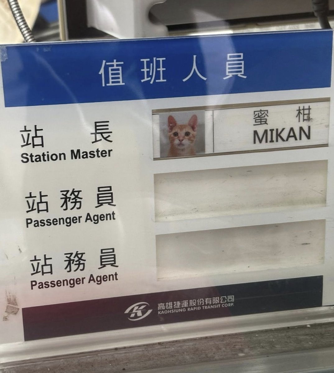 Servicetrenches's tweet photo. MIKAN真名：蜜柑
https://t.co/w1zUA5kHtS https://t.co/iwDw2gaQo6