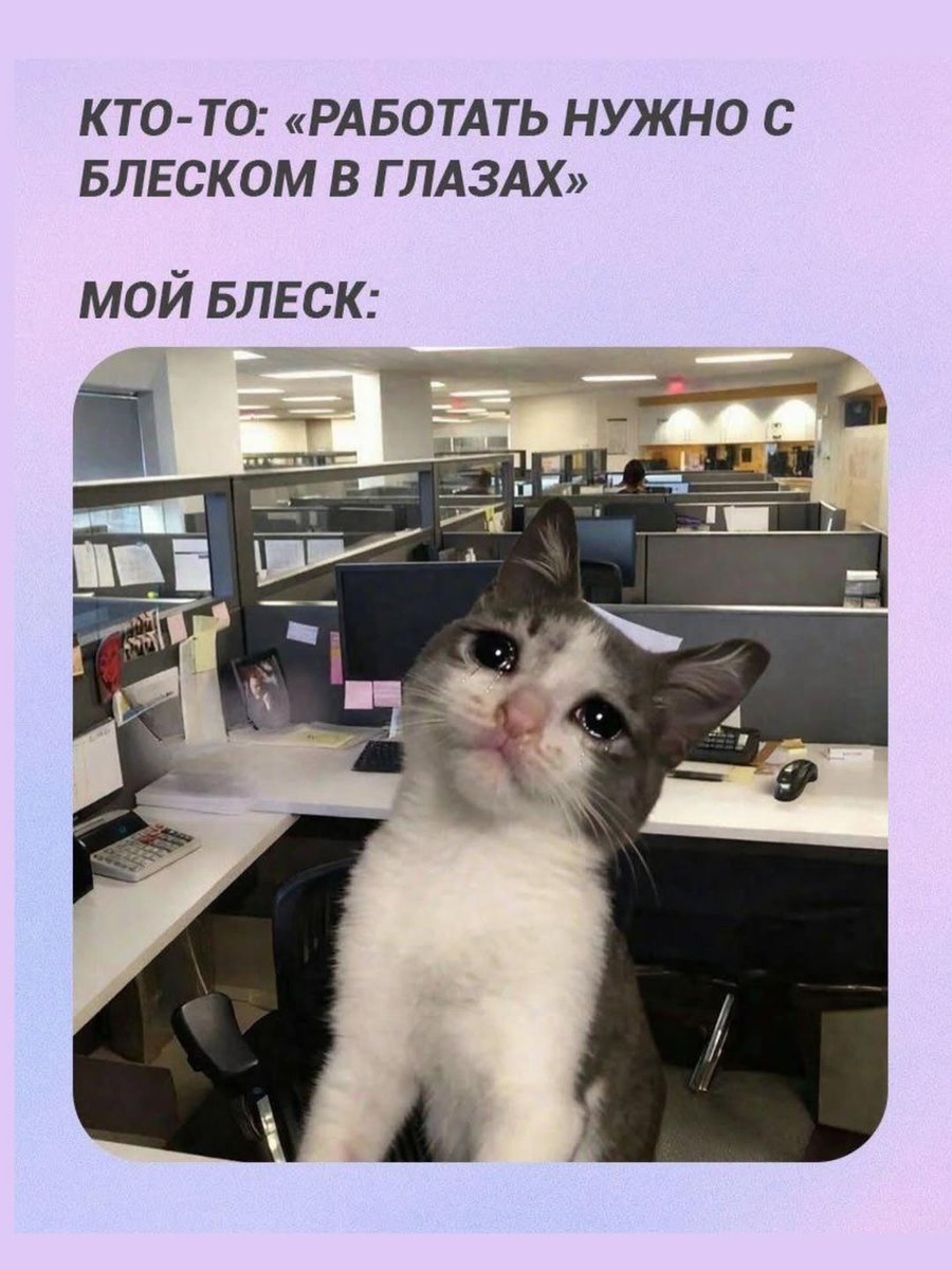 огромненький когтеносец tweet media