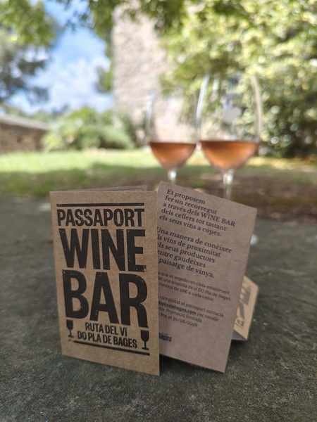 PequenasDos's tweet photo. La Pequeña DO @dopladebages , vuelva a activar el Pasaporte Wine Bar, una forma de incentivar el consumo de vino local y llevar a cabo actividades lúdicas entorno al vino #pasaportewinebar #pladebages https://t.co/nz2BSkHMPZ