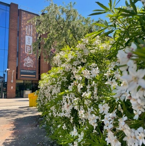 AstonUniLibrary's tweet photo. Good morning! The Library building will be open today until Midnight. We'll also be here as always online with you until 5pm. You can reach us by phone on 0121 204 4525, email: help@library.aston.ac.uk or Live Chat via the Library Home Page https://t.co/NkXupMe0Qo