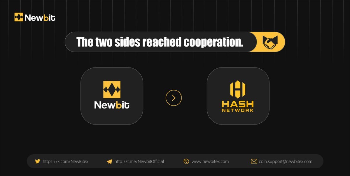 NEWBIT中文 tweet media