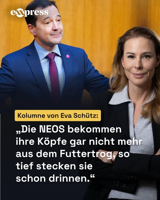 Echte Demokratie tweet media