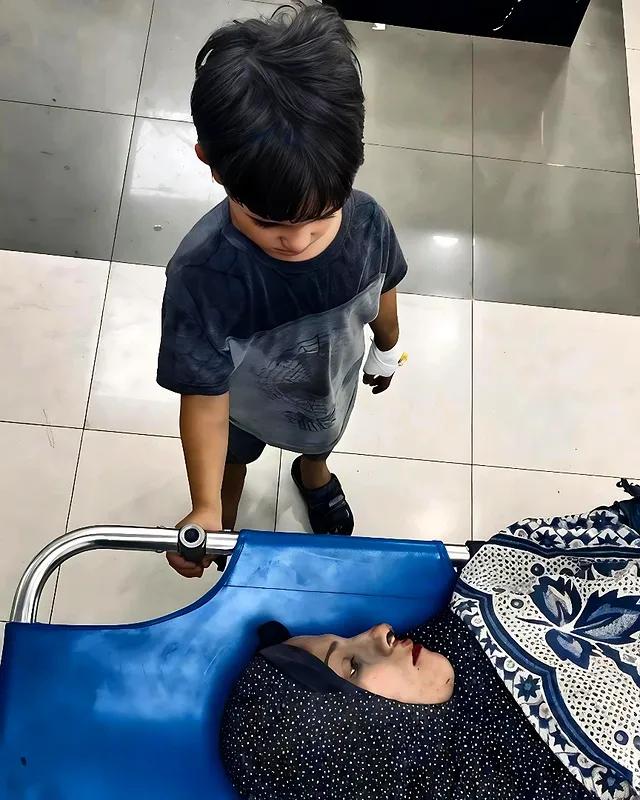 Mahmoud Massri | مَحْمُود 🇵🇸 tweet media