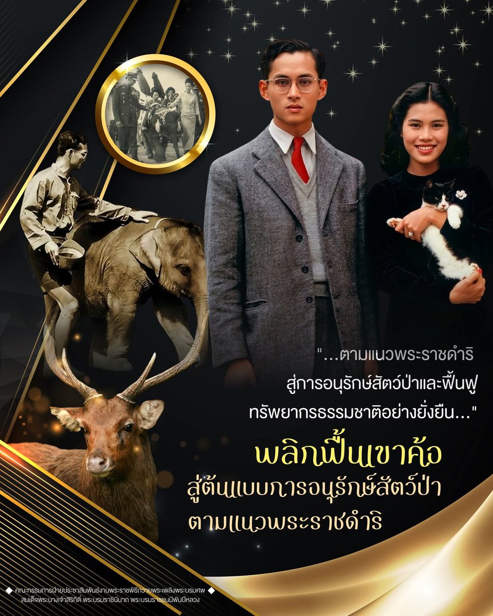 กองทัพบก Royal Thai Army tweet media