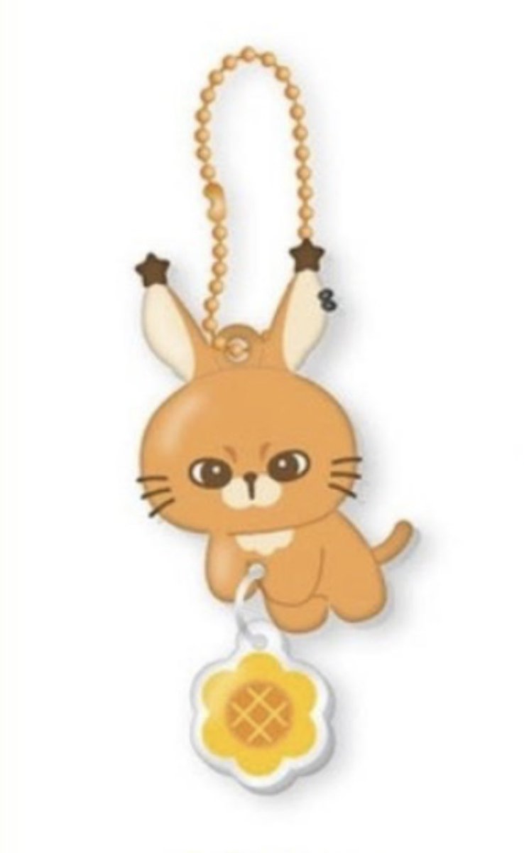 DEARJR. tweet media