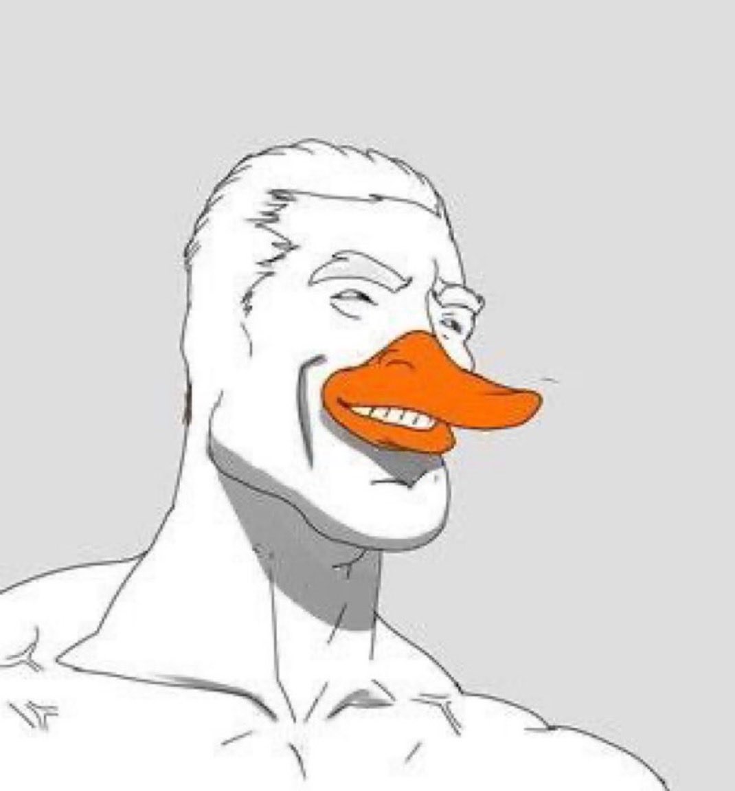 dot 🦆 tweet media