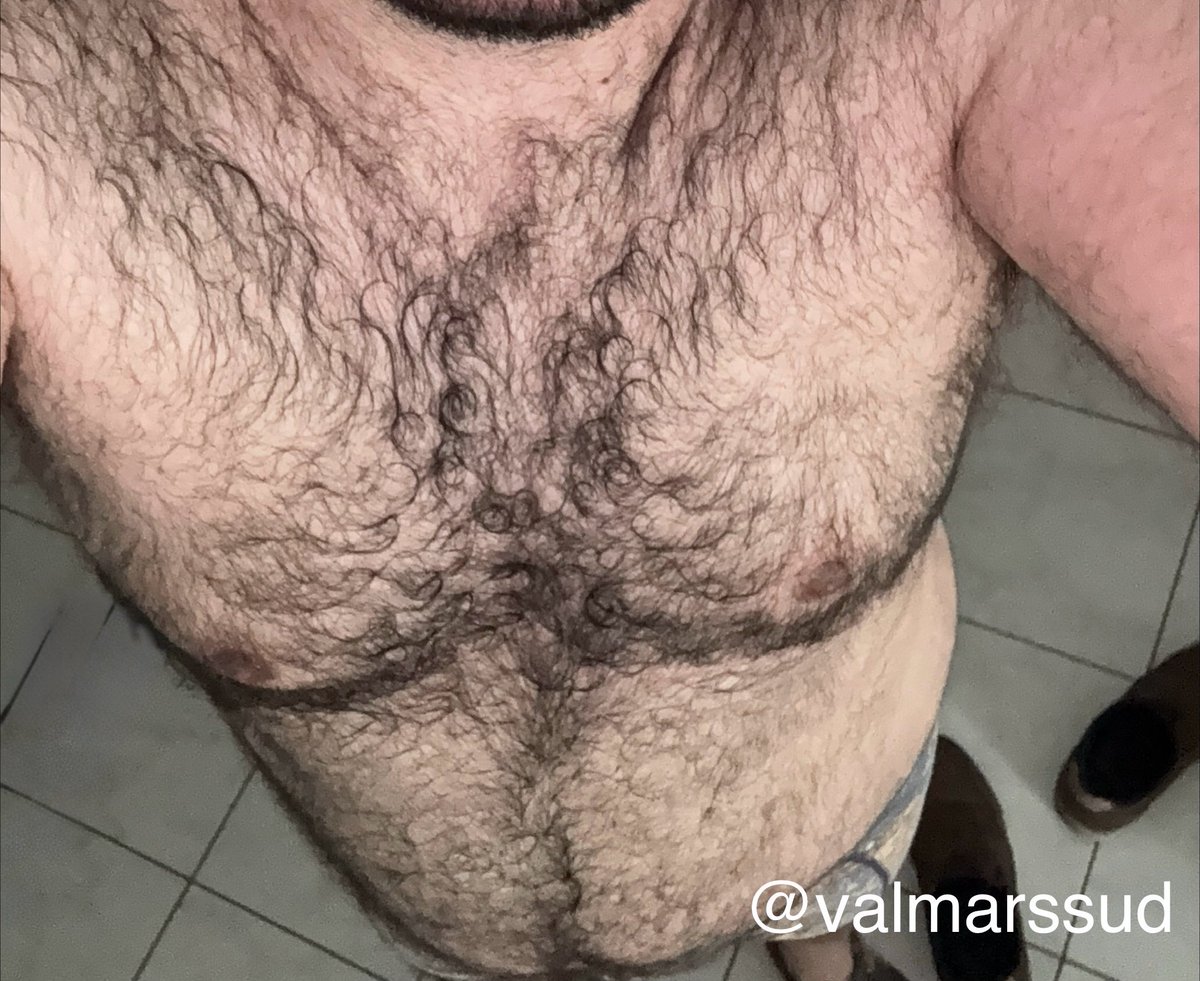 valmarssud's tweet photo. Bon #Tummytuesday les coquins ! Qui viens se glisser dans mes poils ? #hairy #bear #frenchbear @TheFrenchBears @JJBestContent @Secteurx_Paris https://t.co/fAvqQe2tKq