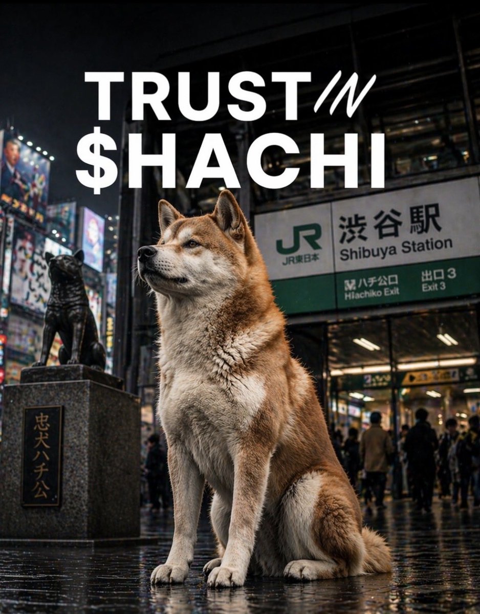 OelingerCrypto's tweet photo. @Poloniex $HACHI before everyone else does. https://t.co/YlsAzo8glV