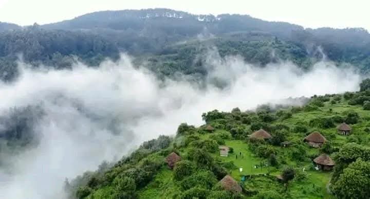 helina_azeze's tweet photo. ጉም አዝሎ ጋራ ላይ 
ይጥላል አመዳይ 
ሲያስፈራ ክረምቱ አቤት ኖረሽ ብታይ 
ገብቼ ከእልፍኙ ገሉን ብለኩሰዉ 
ለካ ቢነድ እሳት አይሞቅም ያለ ሰዉ:: 
በፈካ ሰማዩ በሄዱና እነሀምሌ
መጥተሽ በመስከረም ጀምበር ልይሽ ባይኔ 🎶
#ጀምበር https://t.co/ijXt8Mjinw