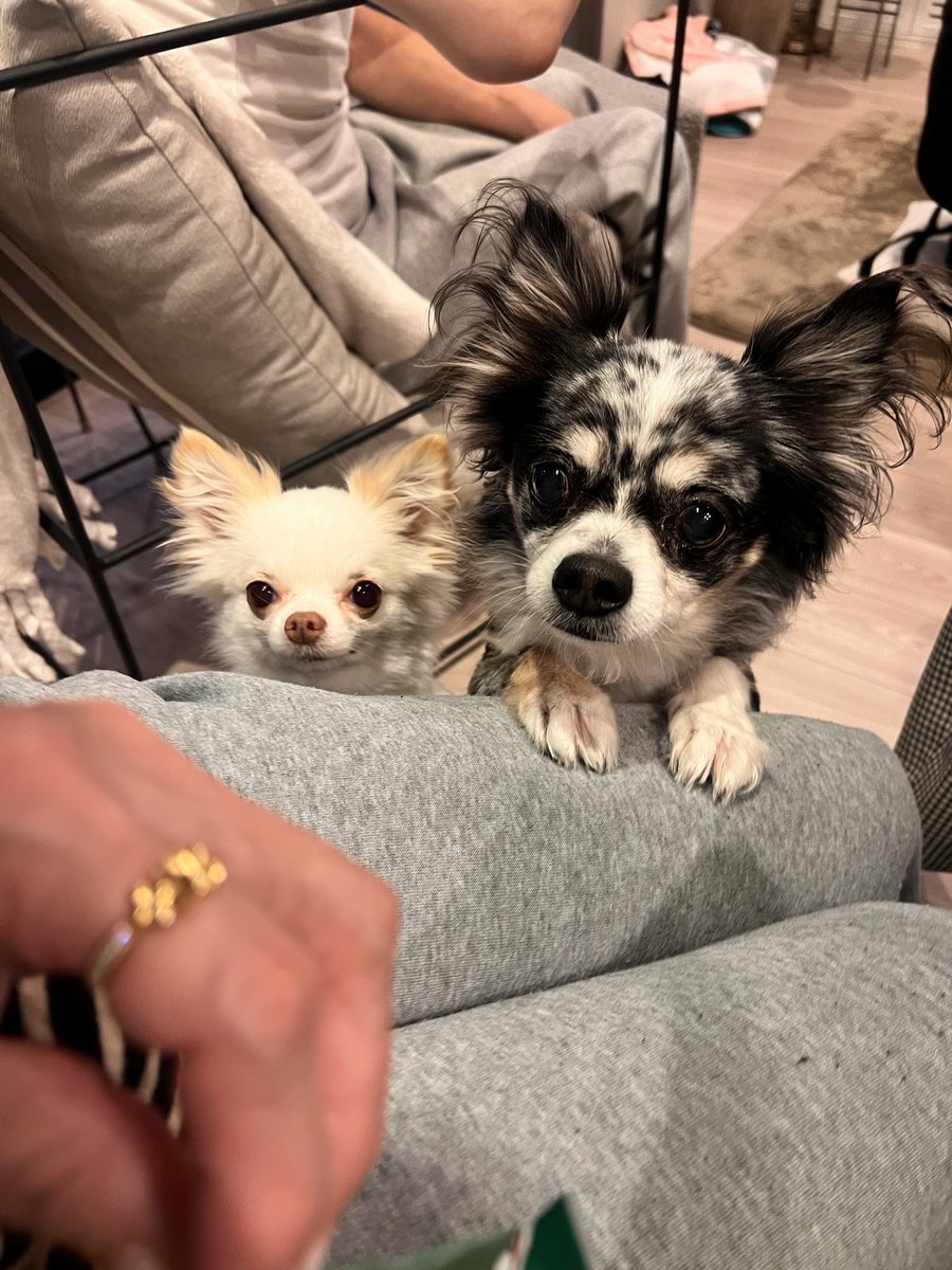 elmn118's tweet photo. びっくりするんだけど今日5回💩したんだけど毎回全力の💩ほんとびっくり
まさか昨日、記憶ない食事があった…？ https://t.co/r7jpd8ojf3
