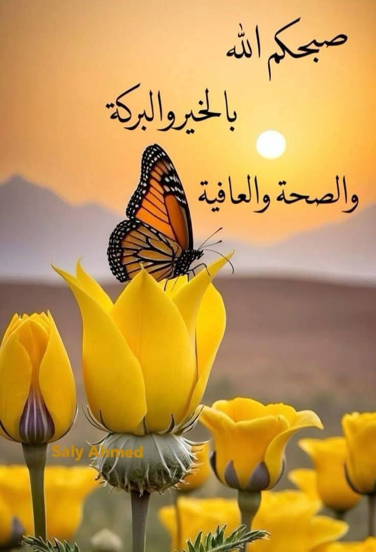 AwO2rWXLXAZhrZy's tweet photo. @T_O_L_E_N_ https://t.co/y0U5fsRt8i