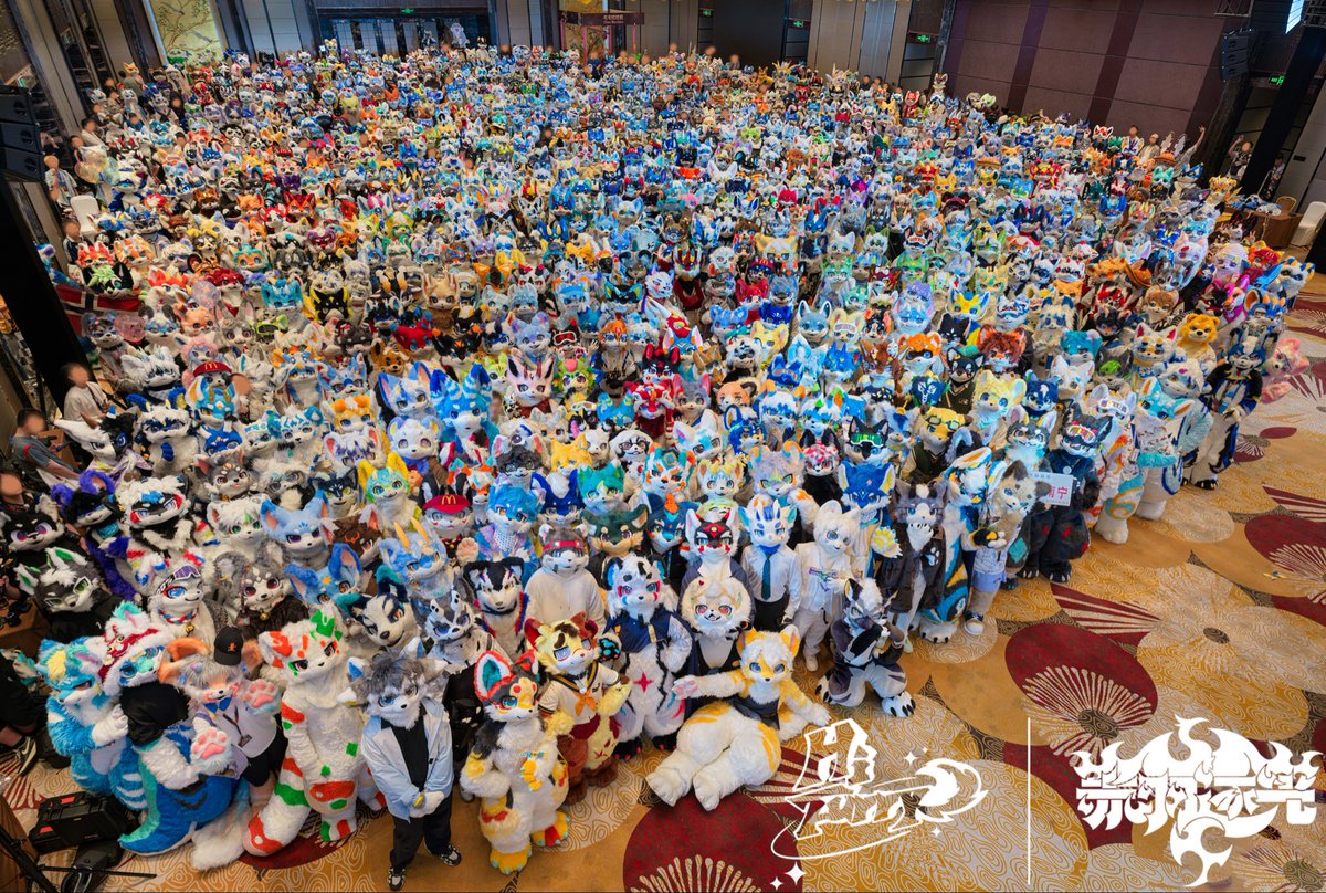 你好兽聚丨Hi Furry tweet media