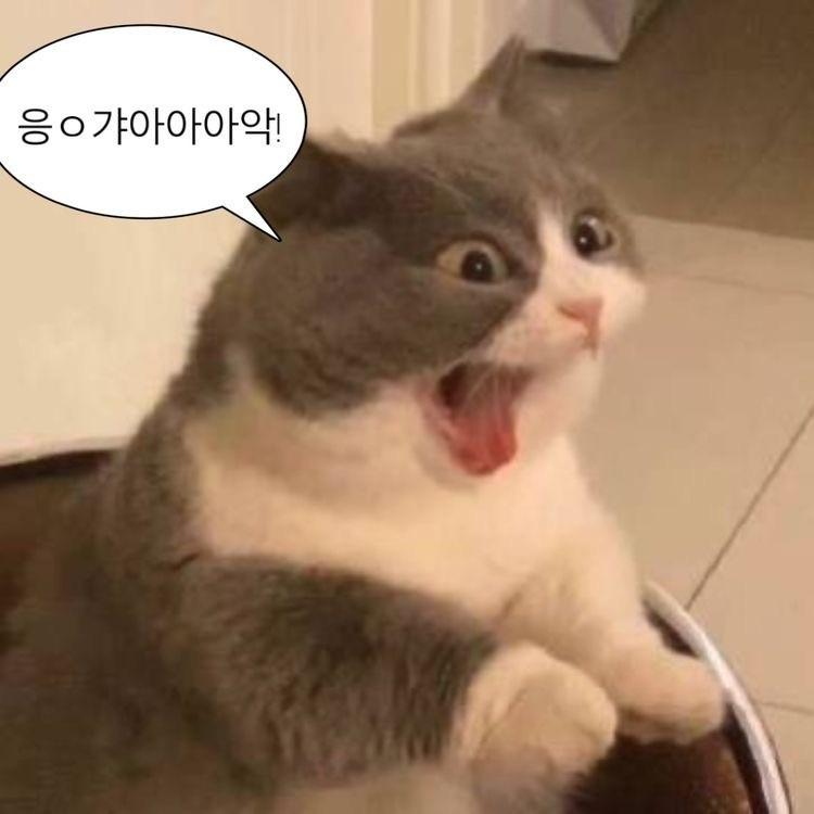 고희봉🌱 tweet media