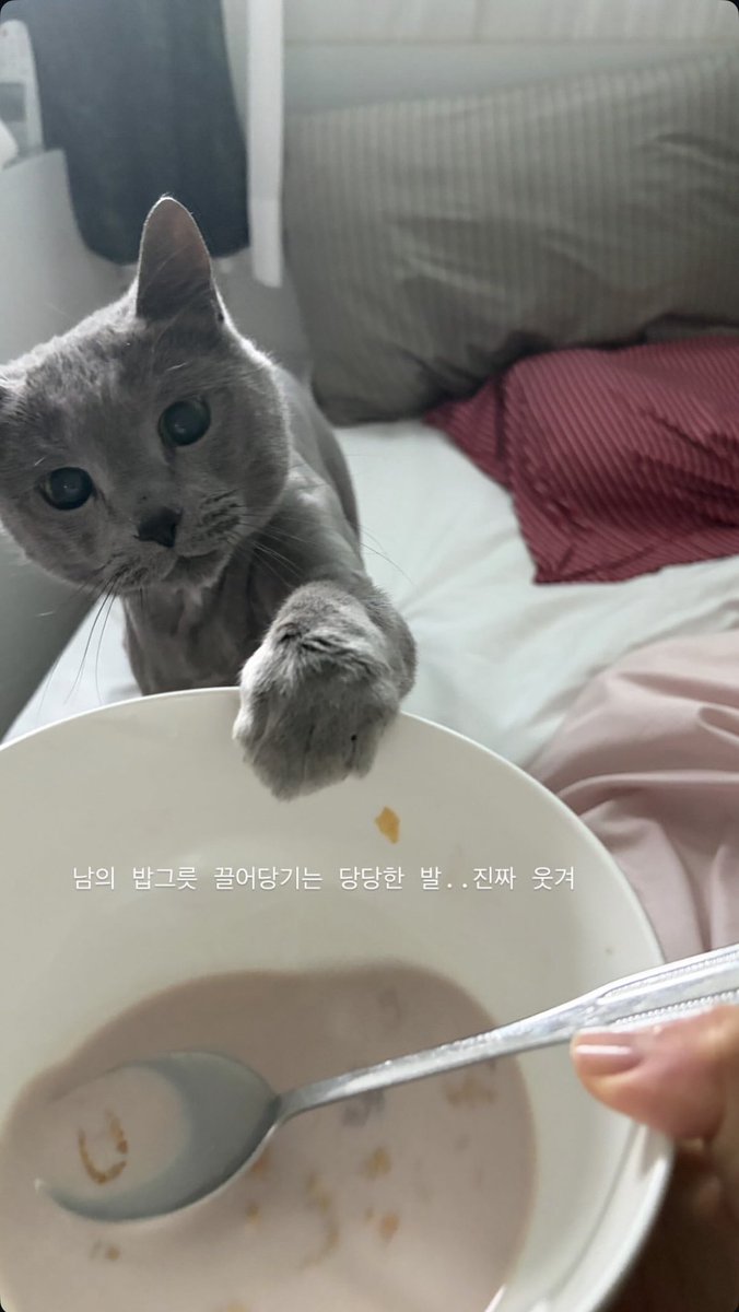 조영화 아카이브 tweet media