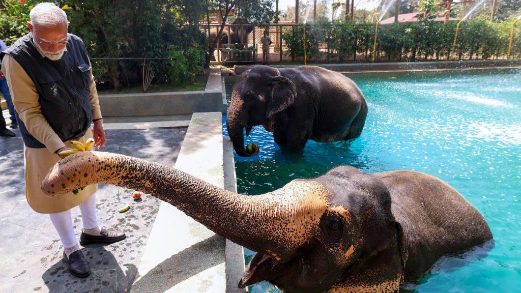 tez4d's tweet photo. Only Hindus are capable to  build wildlife conservation at this insane scale ~ 3500 acres, thousands of animals rescued, world’s biggest rehab facility. 

No one else even tries or comes close. Everything boils down to culture. https://t.co/YsI9hfJhgx