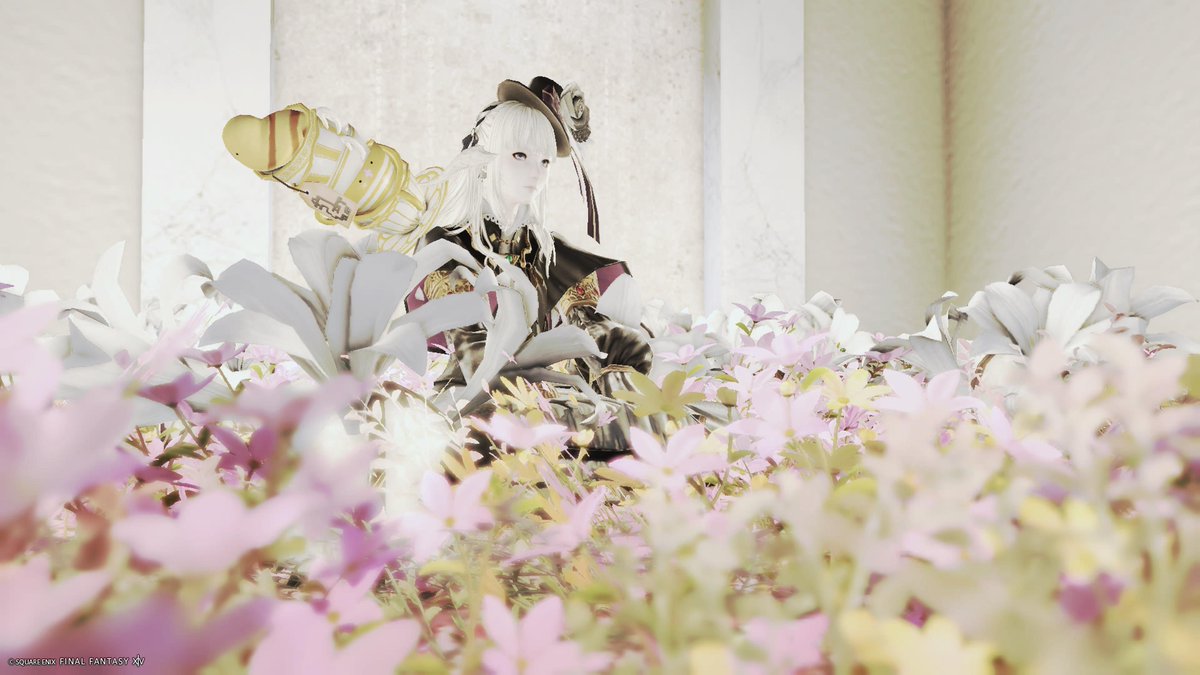 con_0821's tweet photo. ❶ポポルさんの部屋(レプ)
❷月の涙畑(オトマタ)
❸ママ扉(リィンカネ)
❹ボーヴォワール(オトマタ) https://t.co/bCLTvCK6nm