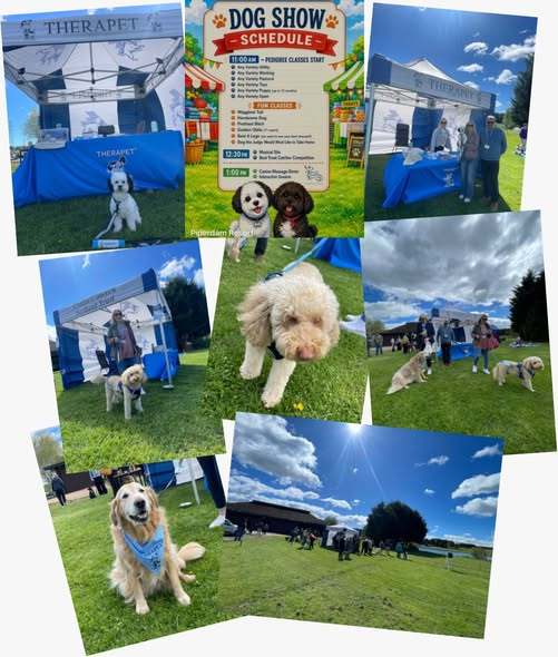 @Therapet-CCST tweet media