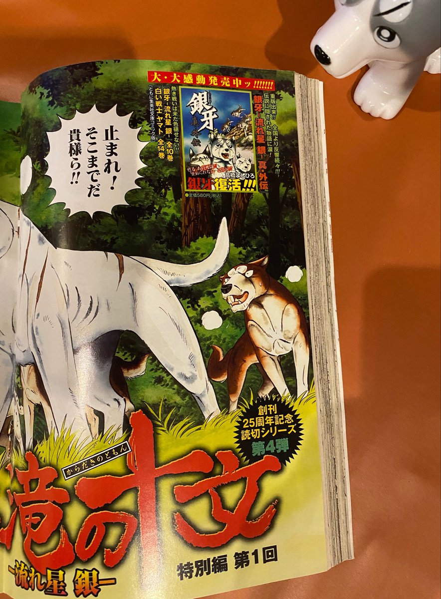 銀牙