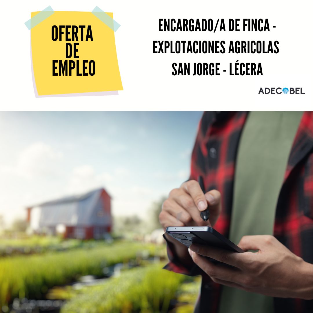 ADECOBEL's tweet photo. 🔴OFERTA DE EMPLEO - EXPLOTACIONES AGRICOLAS SAN JORGE BUSCA ENCARGADO/A DE FINCA EN LÉCERA🔴

Se necesita: persona con capacidad de gestión y organización que reporte a la propiedad.
Se ofrece: jornada completa y vehículo de empresa.
Interesados enviar CV a macordoba@jorgesl.com https://t.co/EOiBt3GHBo