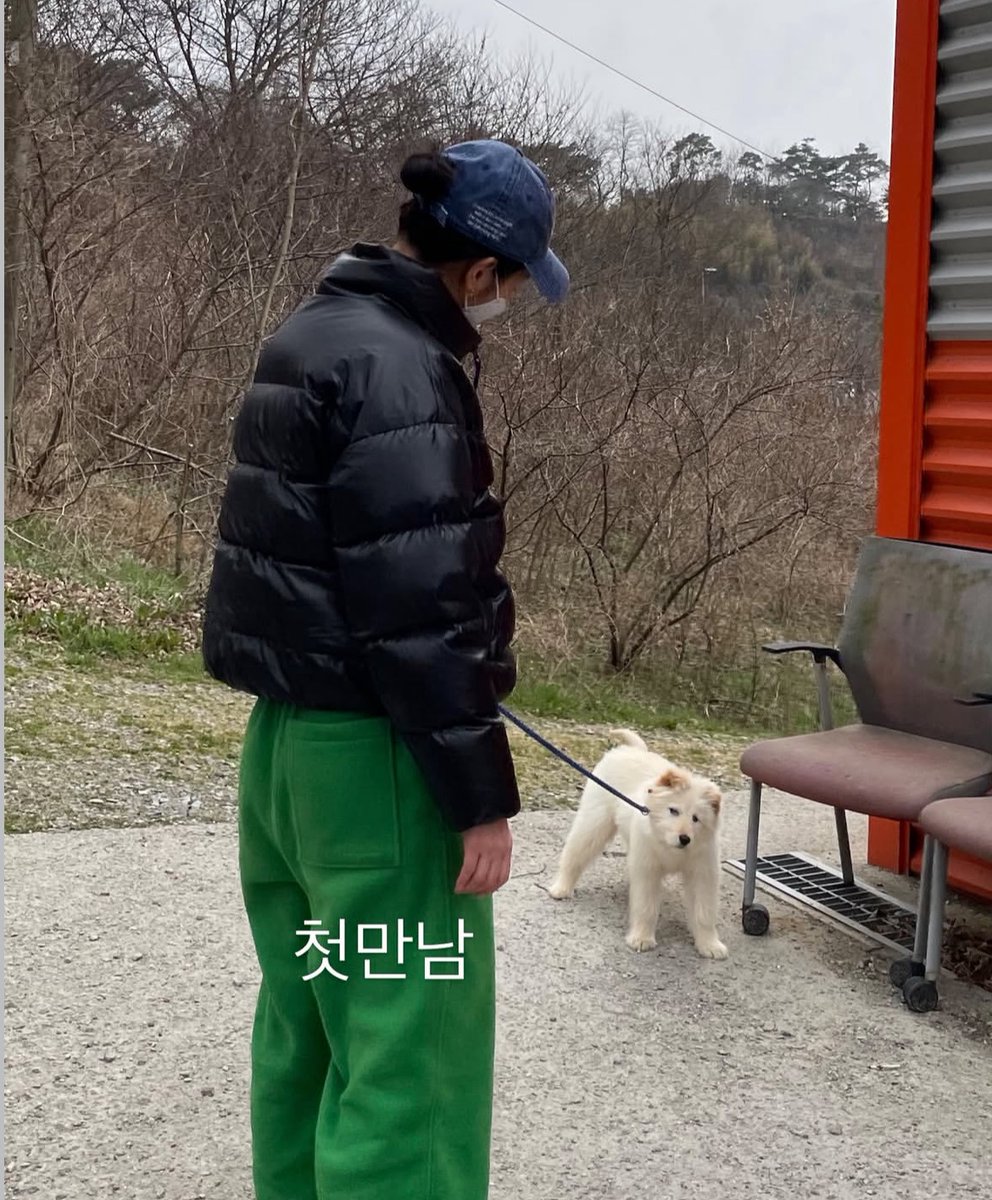 bokdolhihi's tweet photo. 고은 배우님 월이 만나서 데려오시던 날 사진 올려주심🥹   
사진 캡션이 ‘같이 가자‘인 거 너무너무너무 좋지 않니… 홍성보호소에서 죽음 앞둔 강아지들 생각도 나고..

다른 영상두 넘귀니까 가서 봐 https://t.co/c7mUDSvSYs
