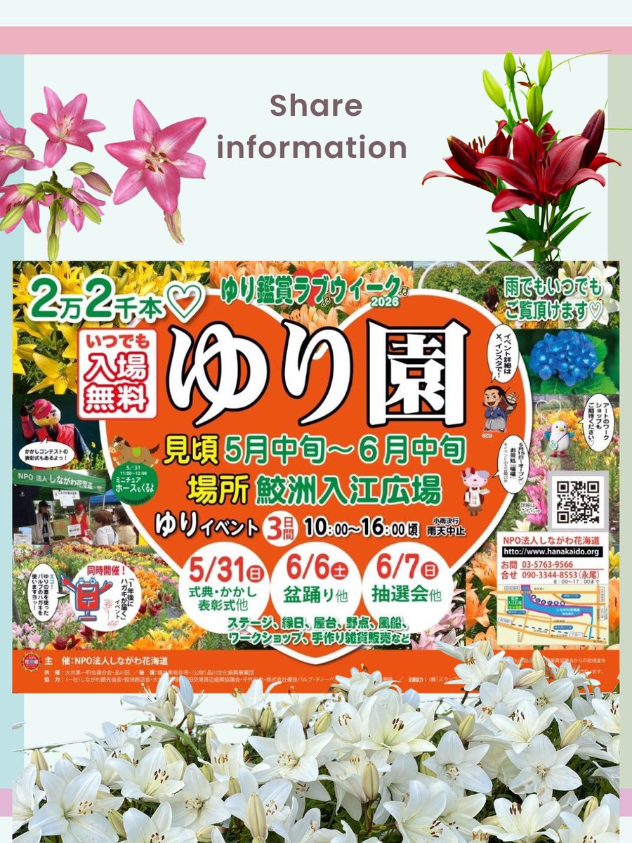 tpec_official's tweet photo. 【協力団体の活動紹介】

今年も鮫洲入江広場に
「品川ゆり園」が登場✨
5月〜6月下旬、
約22,000本のゆりが咲きます🌸

5/31・6/6・6/7は
「ゆり鑑賞ラブウィーク」開催！
お茶処「福福」も登場🍵
会場ではティーペックのポスター・ちらしも設置予定です。

#品川ゆり園
#しながわ花海道
#鮫洲
#ティーペック