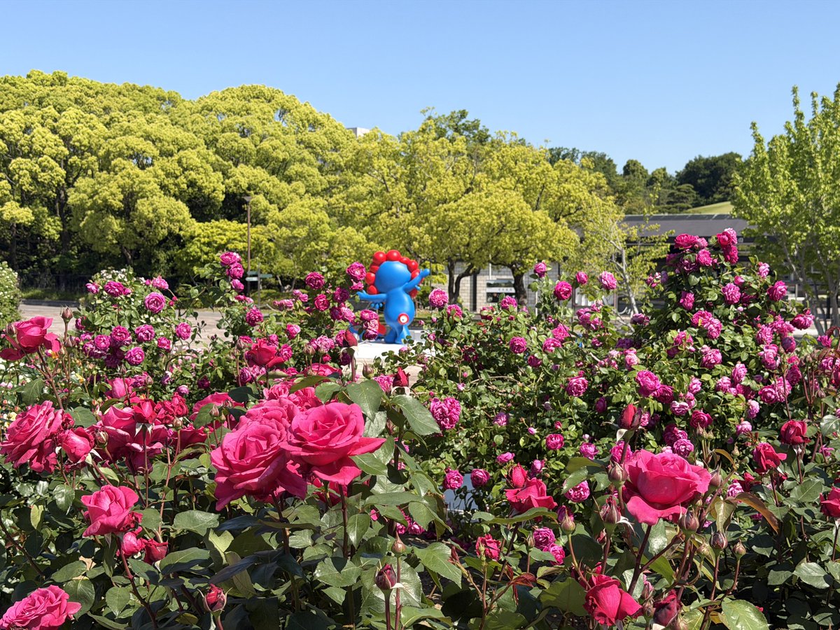 万博記念公園【公式】 tweet media