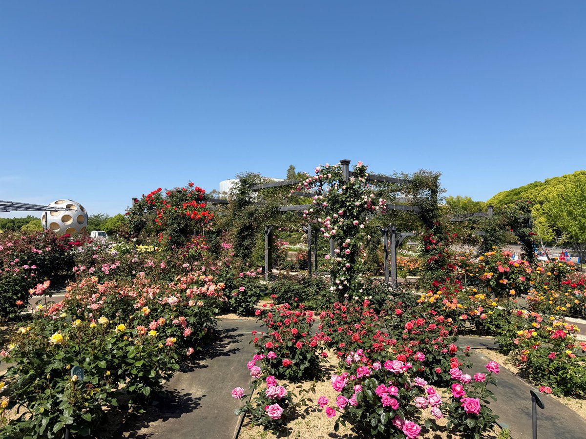 万博記念公園【公式】 tweet media