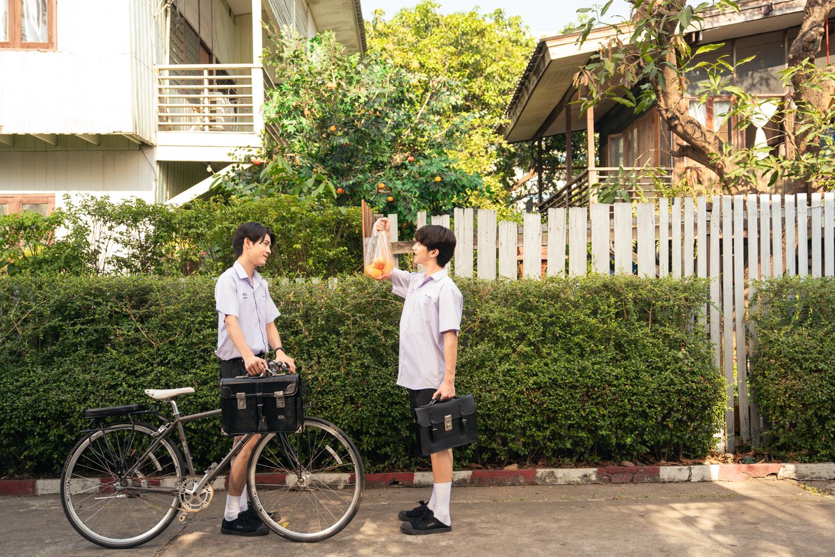 ทตว ૮₍ ˃ ⤙ ˂ ₎ྀིა tweet media