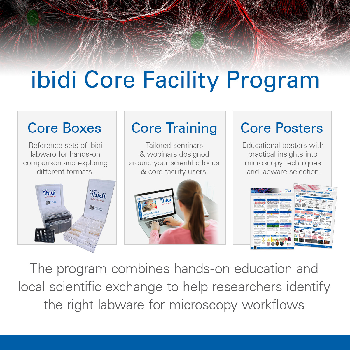 ibidi GmbH tweet media