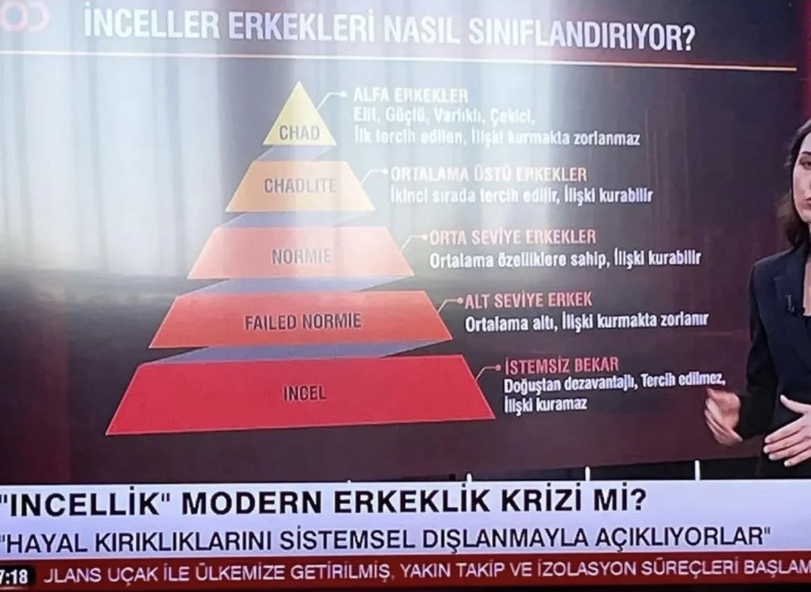 Teşkilatsız tweet media
